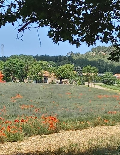 La maison côté Lavande, location de vacances à Saint-Laurent-du-Verdon La maison côté Lavande, location de vacances à Saint-Laurent-du-Verdon